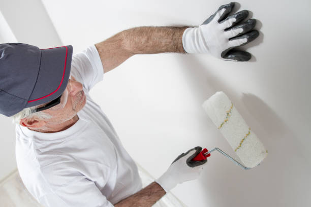 Best Industrial Mold Remediation  in Seguin, TX
