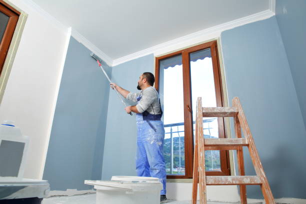 Reliable Seguin, TX Mold Removal Solutions