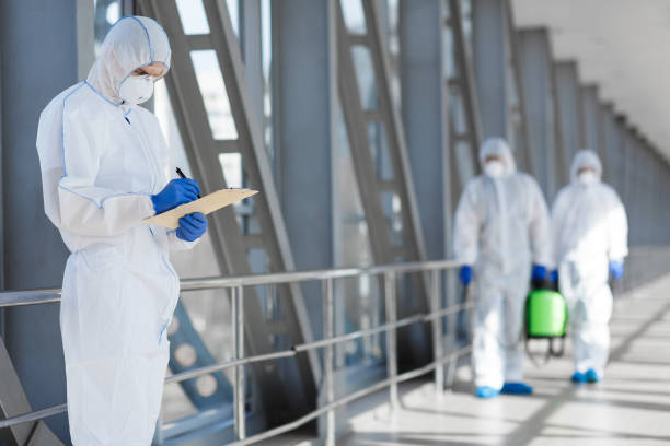 Best Mold Odor Removal Services  in Seguin, TX