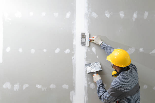 Best Forensic Mold Investigation  in Seguin, TX