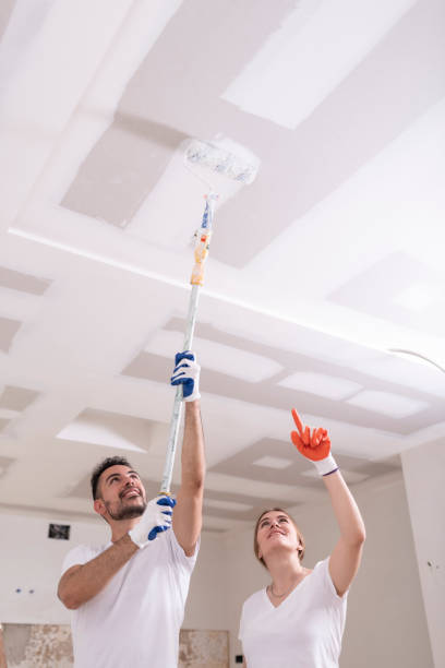 Best Comprehensive Air Testing for Mold Contaminants  in Seguin, TX