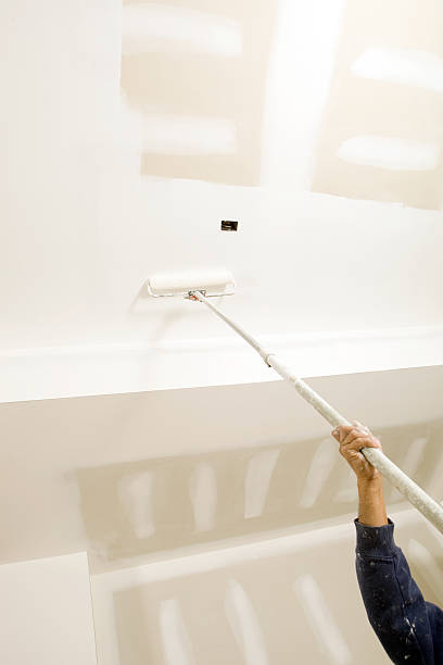 Best Mold Documentation for Insurance Claims  in Seguin, TX
