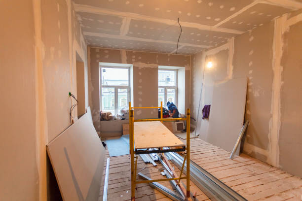 Best Black Mold Removal  in Seguin, TX